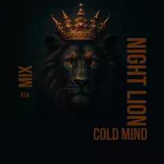 COLD MIND - Night Lion Mix (CD #14)
