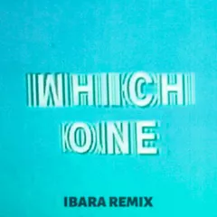 Drake - Which One (IBARA REMIX)