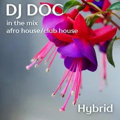 Hybrid