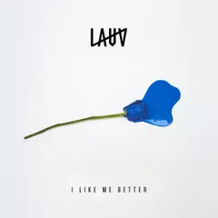 Lauv - I Like Me Better (Intoolate Edit)