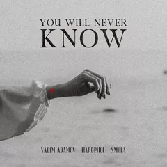 Vadim Adamov, Hardphol, SMOLA - You Will Never Know