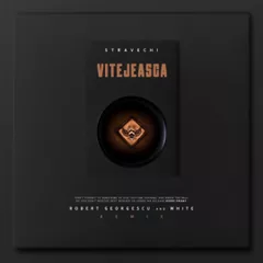 Stravechi - Vitejeasca (Robert Georgescu and White Remix)