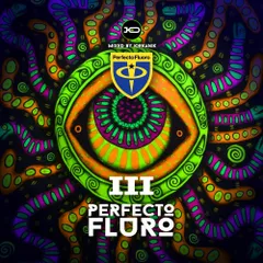 [CD244] Perfecto Fluro III 2025.04.26