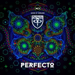 [CD245] Perfecto 2025.04.26