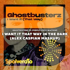Ghostbusterz vs. Purple Disco Machine - I Want It That Way In The Dark (Alex Caspian Mashup)