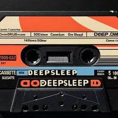 DeepSleep