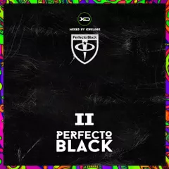 [CD249] Perfecto Black II 2025.06.14