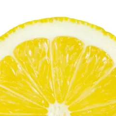 Stas White Solar Jorney Weekend 003