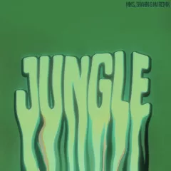 Drake - Jungle (Shahin, Miks, NV & Smeraldo Remix)