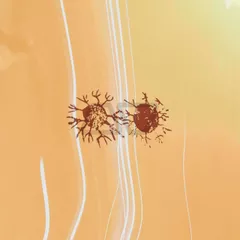 Tatooine - Evening 009