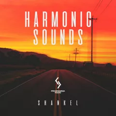 Harmonic Sounds 132