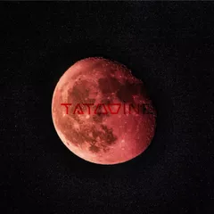 Tatooine - Morning 013