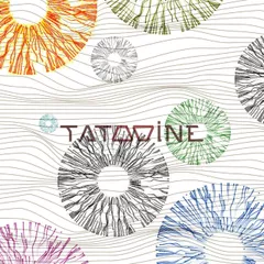 Tatooine - Morning 015