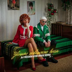 Нина Бродская - Звенит январская вьюга (DJ Freedom Radio Edit)