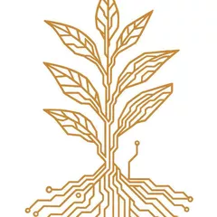 Tatooine - Evening 020