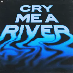 Steve Aoki, Dimitri Vegas & Like Mike, Timbaland, W&W - Cry Me A River