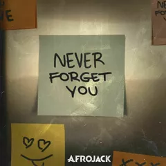 AFROJACK - Never Forget You