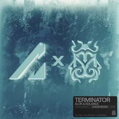 Alok, SOLANCE - Terminator