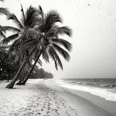 NY'26 (B&W compilation)