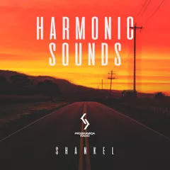 Harmonic Sounds 137