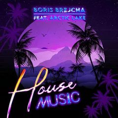 Boris Brejcha, Arctic Lake - House Music (Edit)