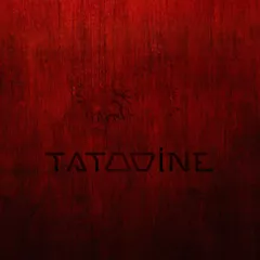 Tatooine - Morning 023