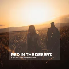 Boris Brejcha, Poppy Baskcomb - Red In The Desert