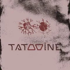 Tatooine - Evening 028