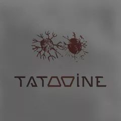 Tatooine - Evening 027