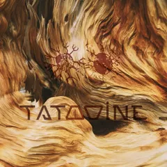 Tatooine - Morning 027