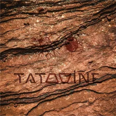 Tatooine - Morning 025