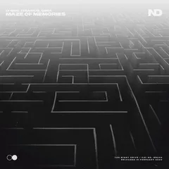 Lynnic, ItsArius, Dinia - Maze Of Memories