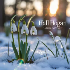 Hall Hogan - Liquid Emotion 002