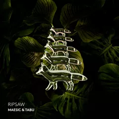 Maesic, TABU - RIPSAW