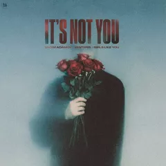 Vadim Adamov, Venteris & Girls Like You - It's Not You