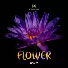[CD267] Flower 2026.02.06