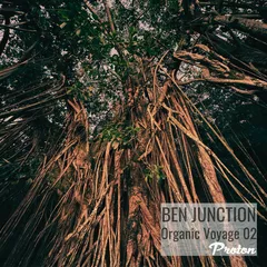 Ben Junction - Organic Voyage 02 (DJ Mix)