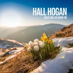 Hall Hogan - Hall Hogan - Guest mix on Debri Fm