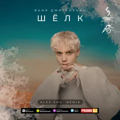 Ваня Дмитриенко - Шёлк (Alex Shu Remix)