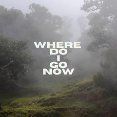Monkeyneck - Where Do I Go Now