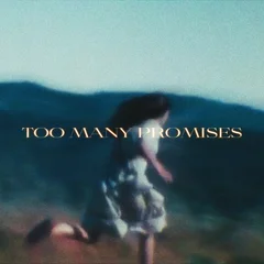 Roy Avital, Capzone - Too Many Promises
