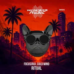 Cold Mind,Focus(RU)  - Ritual (Original Mix)
