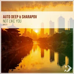 Auto Deep & Sharapov - Not Like You