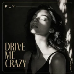 Drive Me Crazy