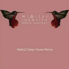 Nimiche - Identity (KaktuZ Extended RemiX)
