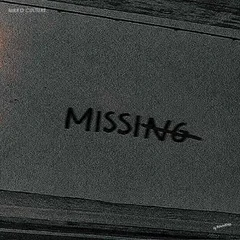 Nikko Culture & Tina Lm — Missing