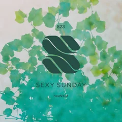 Sexy Sunday Radio Show 823 (PURE IBIZA RADIO)