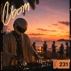 LOOM 231
