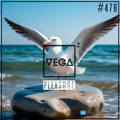 Pleasure 478