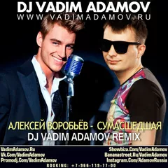 Алексей Воробьев - Сумасшедшая (DJ Vadim Adamov Remix)
